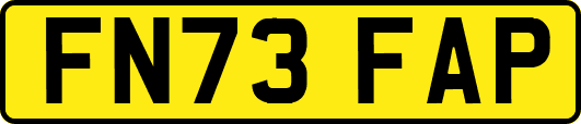 FN73FAP