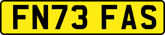 FN73FAS