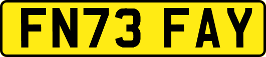 FN73FAY