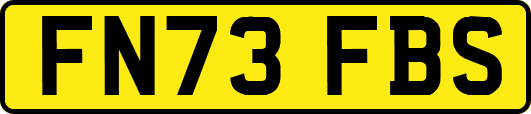 FN73FBS