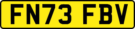 FN73FBV