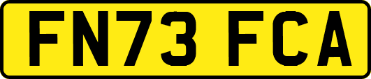 FN73FCA