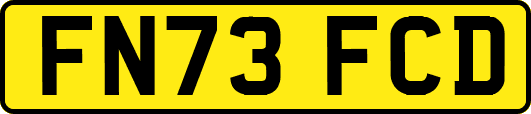 FN73FCD