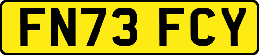 FN73FCY