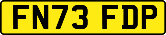 FN73FDP