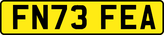 FN73FEA