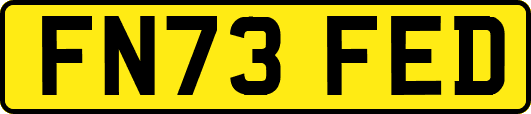 FN73FED