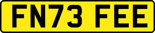FN73FEE