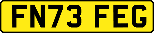 FN73FEG