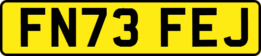 FN73FEJ