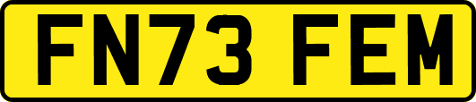 FN73FEM