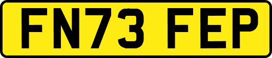 FN73FEP