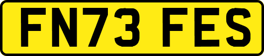 FN73FES