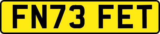 FN73FET