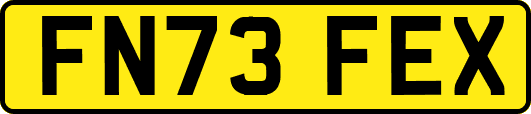 FN73FEX