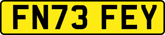 FN73FEY