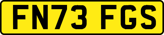 FN73FGS