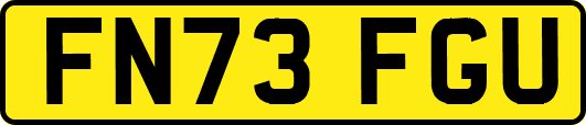 FN73FGU