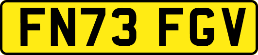 FN73FGV
