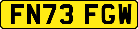 FN73FGW