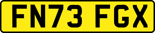 FN73FGX