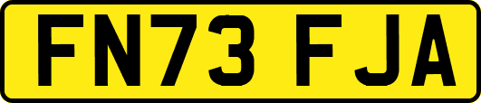 FN73FJA