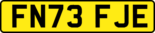 FN73FJE