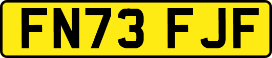 FN73FJF