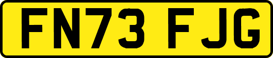 FN73FJG