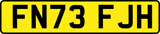 FN73FJH
