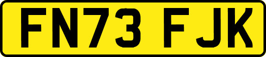 FN73FJK