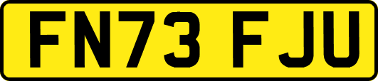 FN73FJU