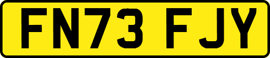FN73FJY