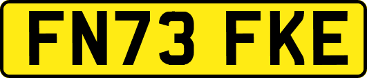 FN73FKE