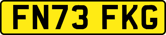 FN73FKG