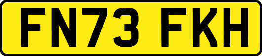 FN73FKH
