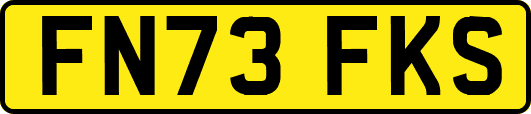 FN73FKS