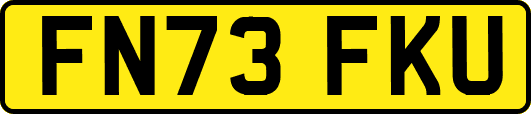 FN73FKU