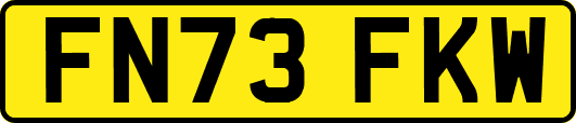 FN73FKW