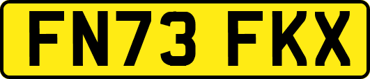 FN73FKX