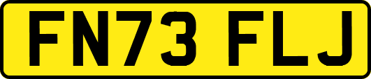 FN73FLJ
