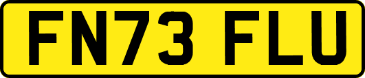 FN73FLU