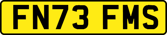 FN73FMS