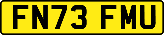 FN73FMU