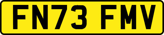 FN73FMV