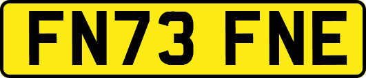 FN73FNE