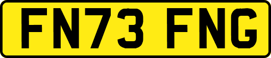 FN73FNG