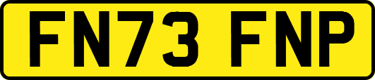 FN73FNP