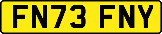 FN73FNY