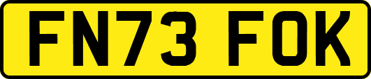FN73FOK